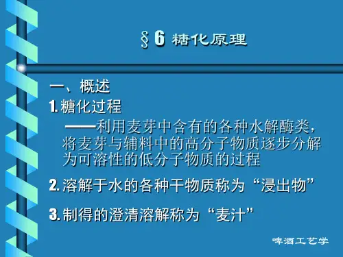 5糖化原理
