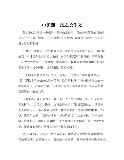 中医药一技之长作文