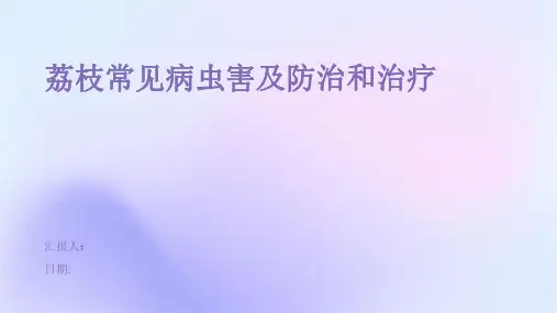 荔枝常见病虫害及防治和治疗
