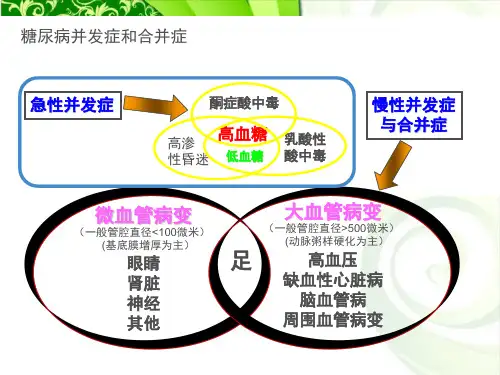 讲课-糖尿病急症处理_PPT幻灯片