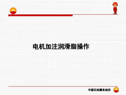 15.电机加注润滑脂操作