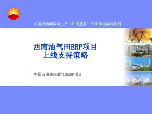 1中石油西南油气ERP实施项目_上线准备_上线支持_PLN-西南油气田ERP系统上线支持策略-0802-Vf