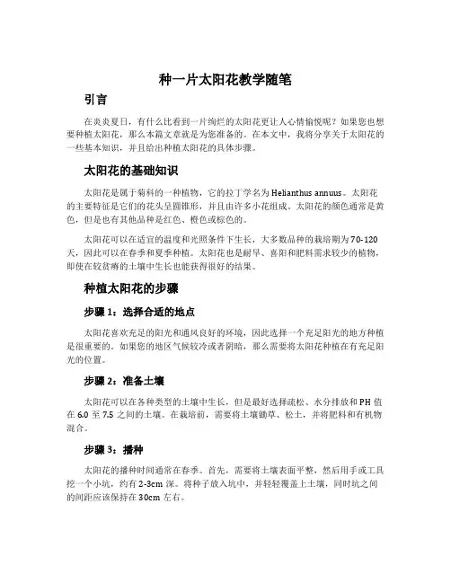 《种一片太阳花》教学随笔