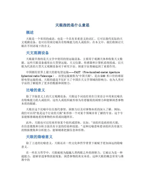 天眼指的是什么意思