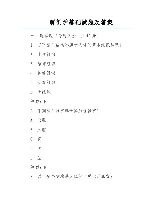 解剖学基础试题及答案