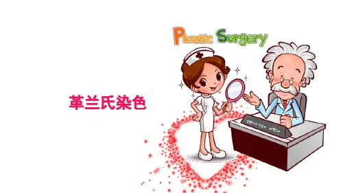 环境微生物：革兰氏染色