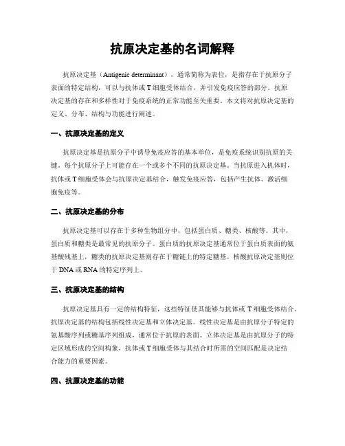 抗原决定基的名词解释