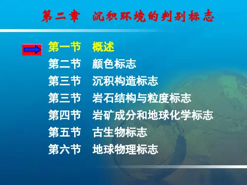 沉积岩沉积相2 沉积环境的判别标志(1) 共52页