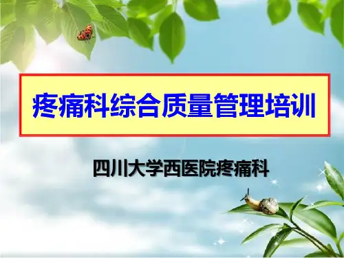 疼痛科综合质量管理培训幻灯片PPT