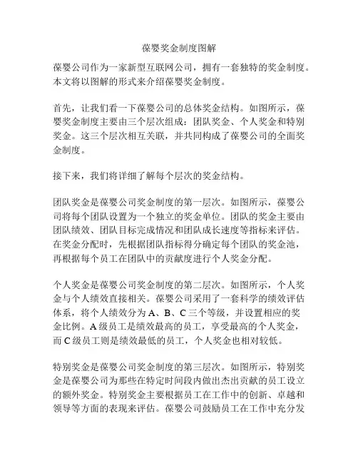 葆婴奖金制度图解