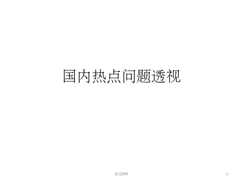 《国内热点问题透视》PPT课件