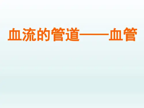 人教课标版初中七年级生物课精品PPT教学课件-血流的管道——血管