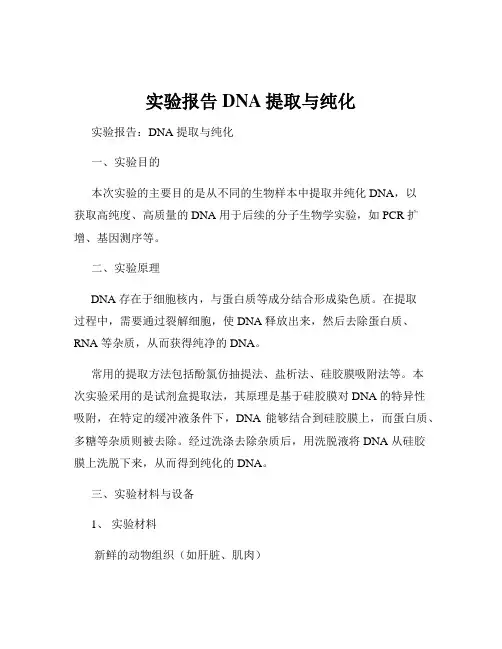 实验报告DNA提取与纯化