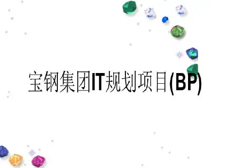 宝钢集团IT规划项目(BP)