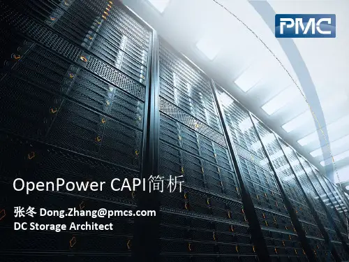 【PMC分享】《大话存储》作者张冬：OpenPower CAPI简析.pdfx