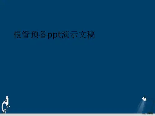 根管预备ppt演示文稿