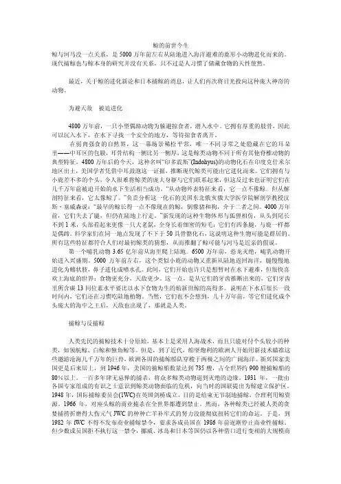 鲸的前世今生