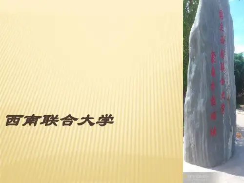 西南联合大学16页PPT文档