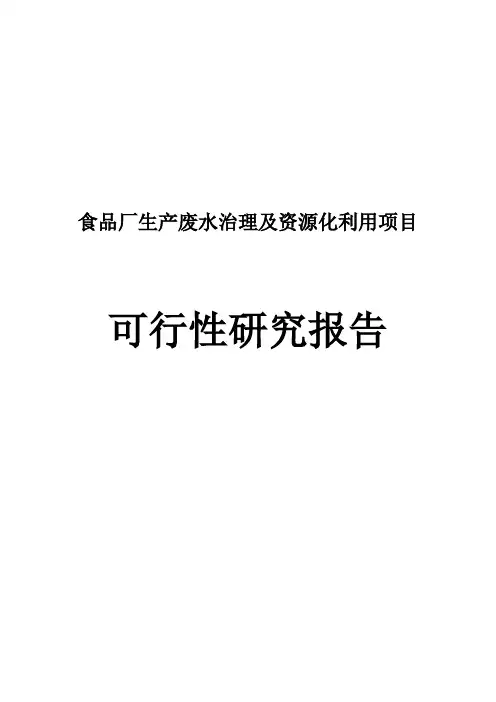 某某食品厂生产废水治理及资源化利用项目可行性研究报告