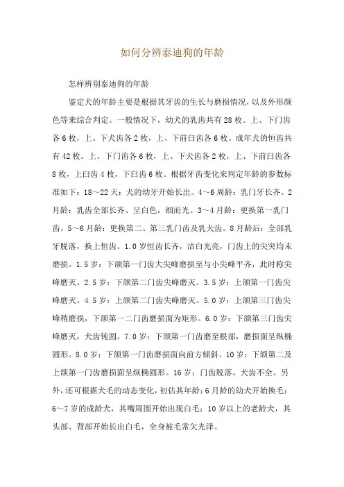如何分辨泰迪狗的年龄