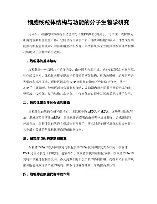 细胞线粒体结构与功能的分子生物学研究