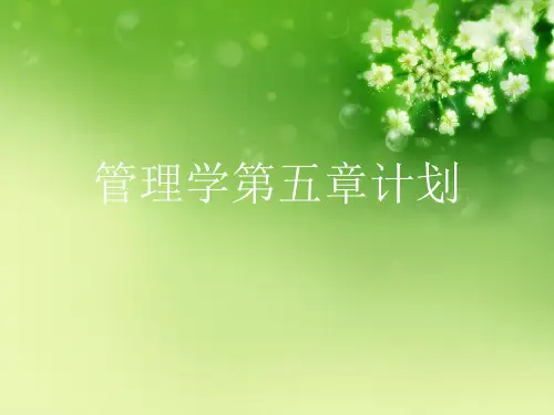 管理学第五章计划优秀课件