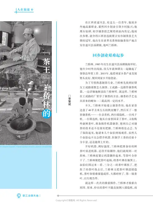 “_茶王”兰桥林的传奇故事