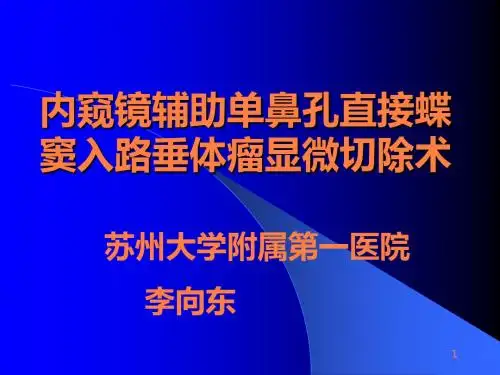 MR颅脑解剖ppt课件