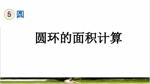 人教版六年级数学上册第五单元《圆环的面积》授课课件