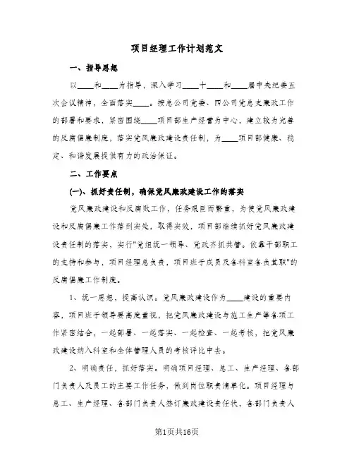 2024年项目经理工作计划范文（五篇）