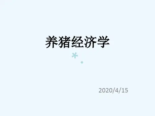 养猪经济学最新PPT课件
