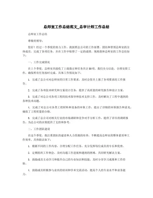 总师室工作总结范文_总审计师工作总结