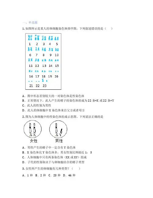 北师大版生物 八年级上册 第6节 遗传病和人类健康 课后练习题