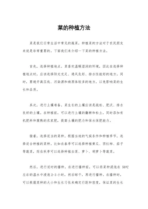 菜的种植方法