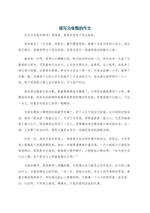 描写乌龟慢的作文