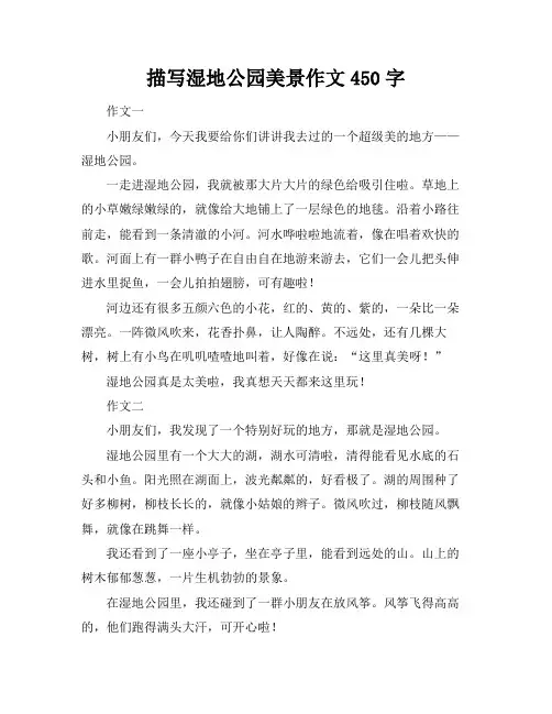 描写湿地公园美景作文450字