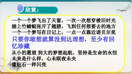 《少年有梦》完美版PPT1