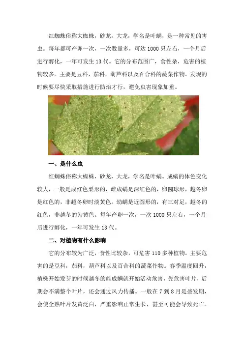 红蜘蛛是什么虫,对植物有什么影响