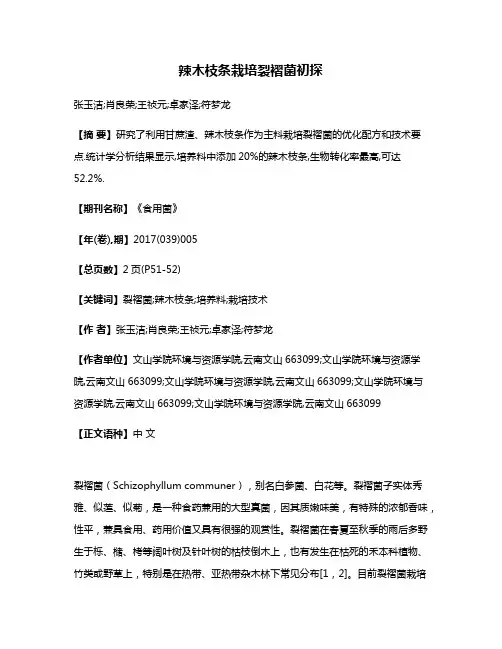辣木枝条栽培裂褶菌初探