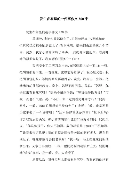 发生在家里的一件事作文600字