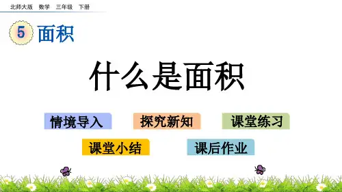 北师大版三年级数学下册5.1 什么是面积 课件