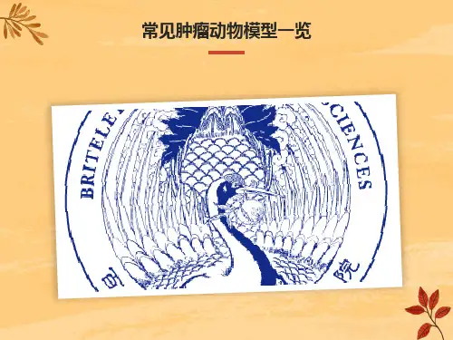 常见肿瘤动物模型一览课件
