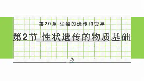 初中生物北师大版八年级上册20.2 性状遗传的物质基础