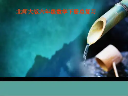 北师大版数学六年级下册总复习《常见的量》PPT课件