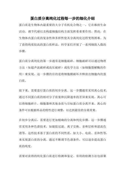 蛋白质分离纯化过程每一步的细化介绍