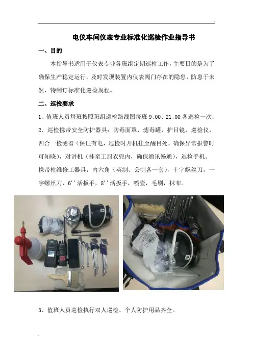 仪表专业标准化巡检