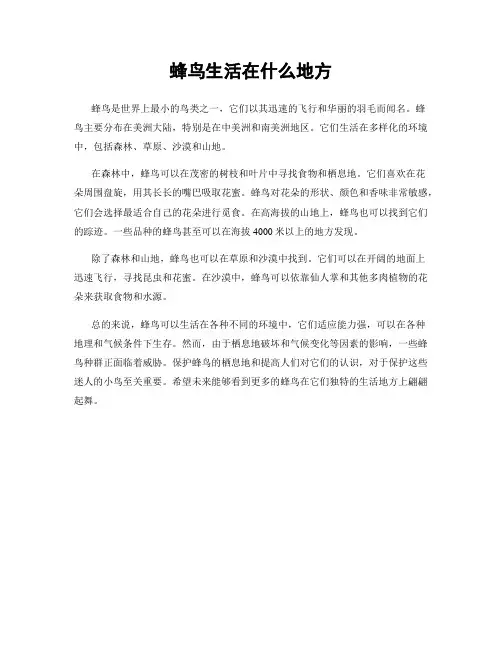蜂鸟生活在什么地方