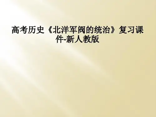 高考历史《北洋军阀的统治》复习课件-新人教版