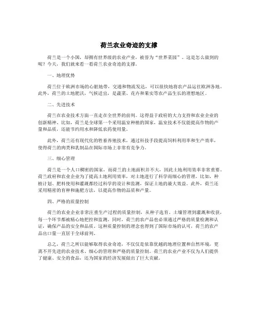 荷兰农业奇迹的支撑