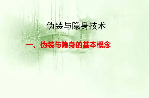 伪装与隐身技术